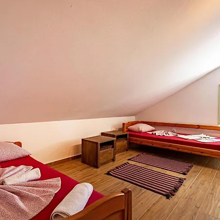 Pet Friendly In Feriehus Viganj
